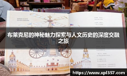 金年会